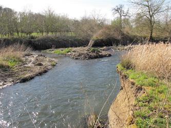 Dam Removal Europe request on barrier removal