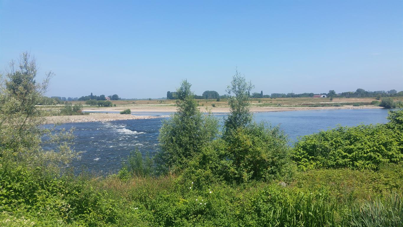 droogte nevengeul Waal