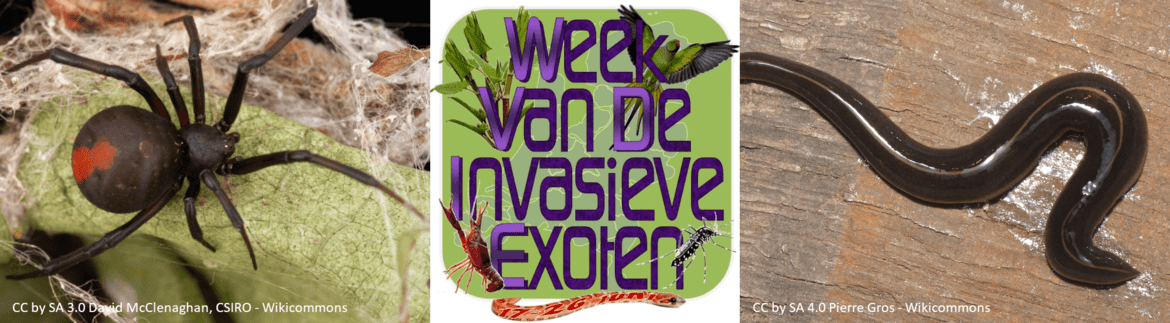 Symposium invasierisico exotische soorten
