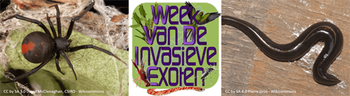 Symposium invasierisico exotische soorten